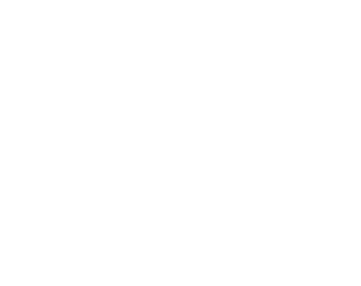 Novin renovation contractor